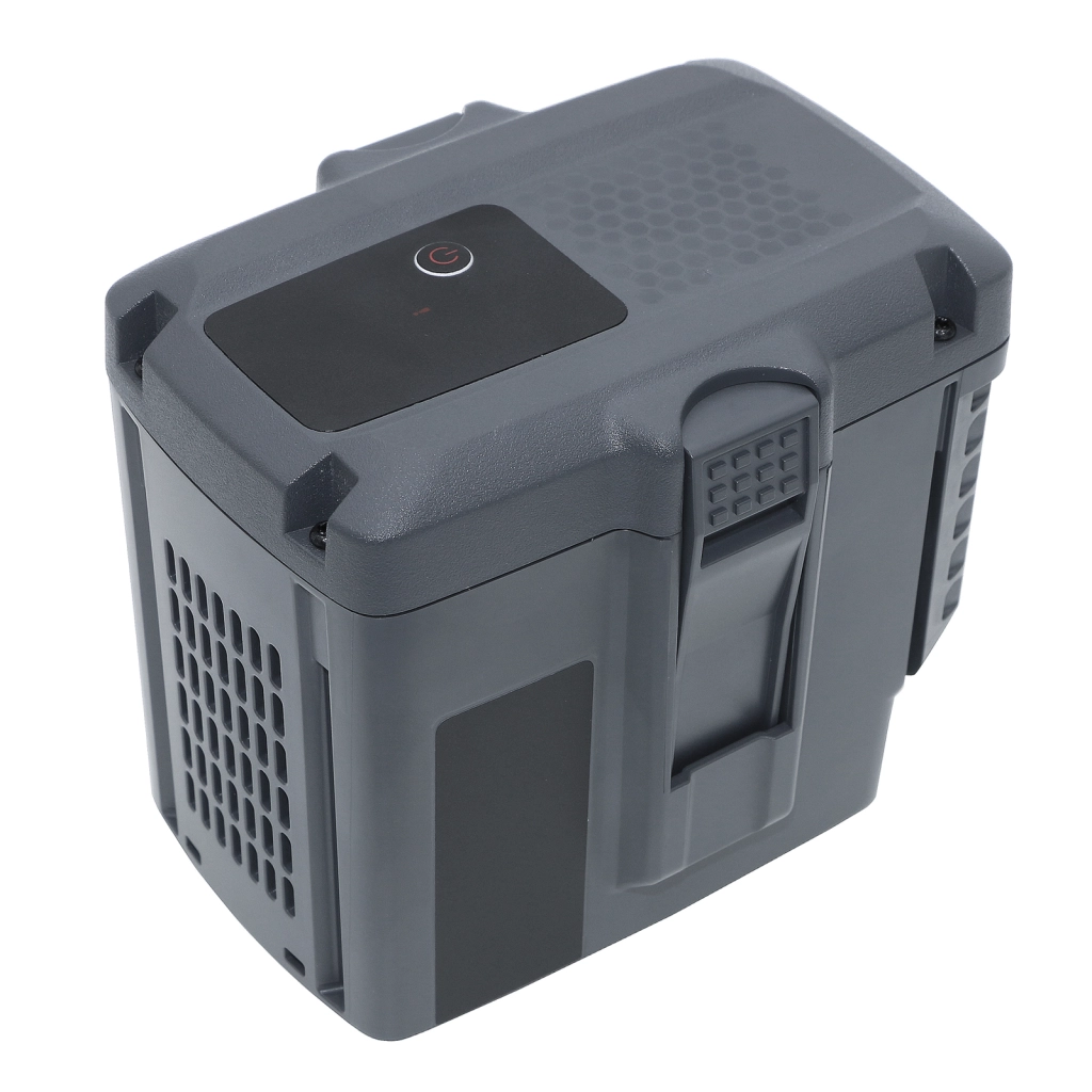 Battery Replaces BLi10