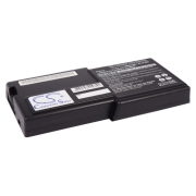 CS-IBR31