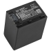 Camera Battery Sony FDR-AX33