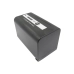 Batería de la cámara Panasonic CS-VBD58MC