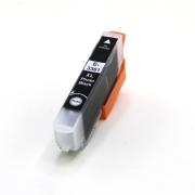 Compatible with Epson 33XL / 13ml Ink Photo black (Ink cartridges - Dye)